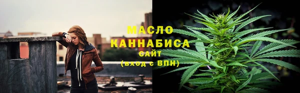 сатива Козельск