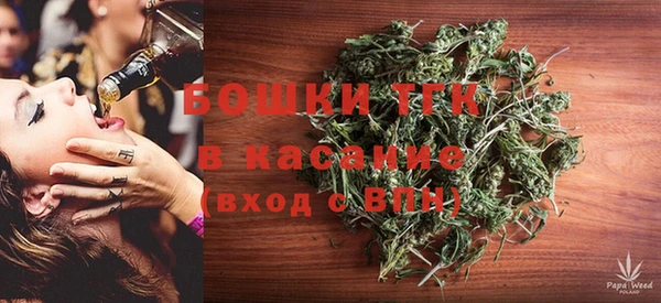 сатива Козельск
