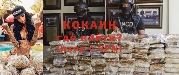 сатива Козельск