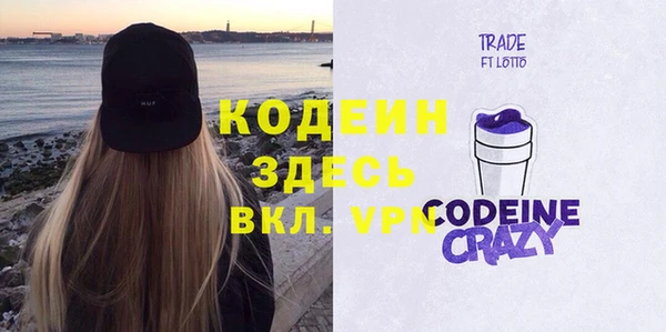 сатива Козельск