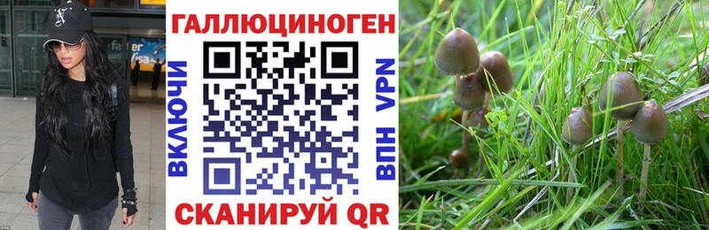 Псилоцибиновые грибы MAGIC MUSHROOMS Оха